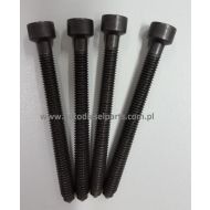 ŚRUBA  POMPOWTRYSKIWACZA 038103385A  AUDI,VW, SEAT, SKODA 1.4  1.9  2.0 TDI  70mm - 038103385adp2.jpg