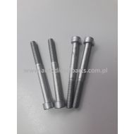 ŚRUBA POMPOWTRYSKIWACZA 038103385A  70 mm VW AUDI 1,9 TDi - 038103385adp468.jpg