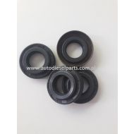 SIMERING VACUM POMPY 11mm - 11x22x5  / POMPA F009D00069 - 11225dp468.jpg