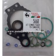 KOMPLET USZCZELEK POMPY WTRYSKOWEJ CR SIEMENS X39-800-300-001Z, pompa 5WS40565  8200430599 8200663258 9636818480 A2C5951160, PD-5668 - 5668dp242.jpg