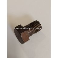 7123-183 ŚRUBA USTALAJĄCA GŁOWICY POMPY DELPHI DPA WSK - 7123183dp6061.jpg