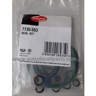 7135-553 ZESTAW USZCZELEK POMPY CR DELPHI DFP3 9424A050A  CITROEN FIAT FORD PEUGEOT 2,0 TDCI/HDI - 7135553dp468.jpg