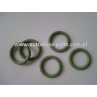 1928300719 ORING ZAWORU DOZUJĄCEGO POMPY BOSCH CR CP3, zamiennik - 719-4682.jpg
