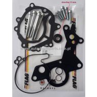  ZESTAW USZCZELEK POMPY PALIWA VACUM AUDI A3/A4; SEAT 1.9; 2.0 TDI; VW GOLF, PASSAT,TOURAN 1.9/ 2.0 TDI/ SDI; pompa 038145209M, 038145209Q, 038145209C FL-801485 simering 13 mm - 801485_13dp4682.jpg
