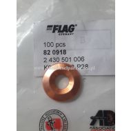 PODKŁADKA WTRYSKIWACZA BOSCH FORD 1.8 D/TD 2430501006, FL-820918 - 820918dp4681.jpg
