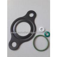 F01M100278 KOMPLET USZCZELEK ZAWORU REGULUJĄCEGO CIŚNIENIE BOSCH CR CP1 - f01m100278_dp468..jpg