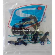 X39-800-300-004Z KPL. NAPRAWCZY SEKCJI WYSOKIEGO CIŚNIENIA POMPY CR SIEMENS VDO- DW10B, DW10TD, DV4TD, PCRK9K; PCR LYNX pompa: 5WS40018, 5WS40008, 5WS40019, 5WS40163, 5WS40809, 5WS40380, 5WS40094 zam. - x39800300004zdp60..jpg